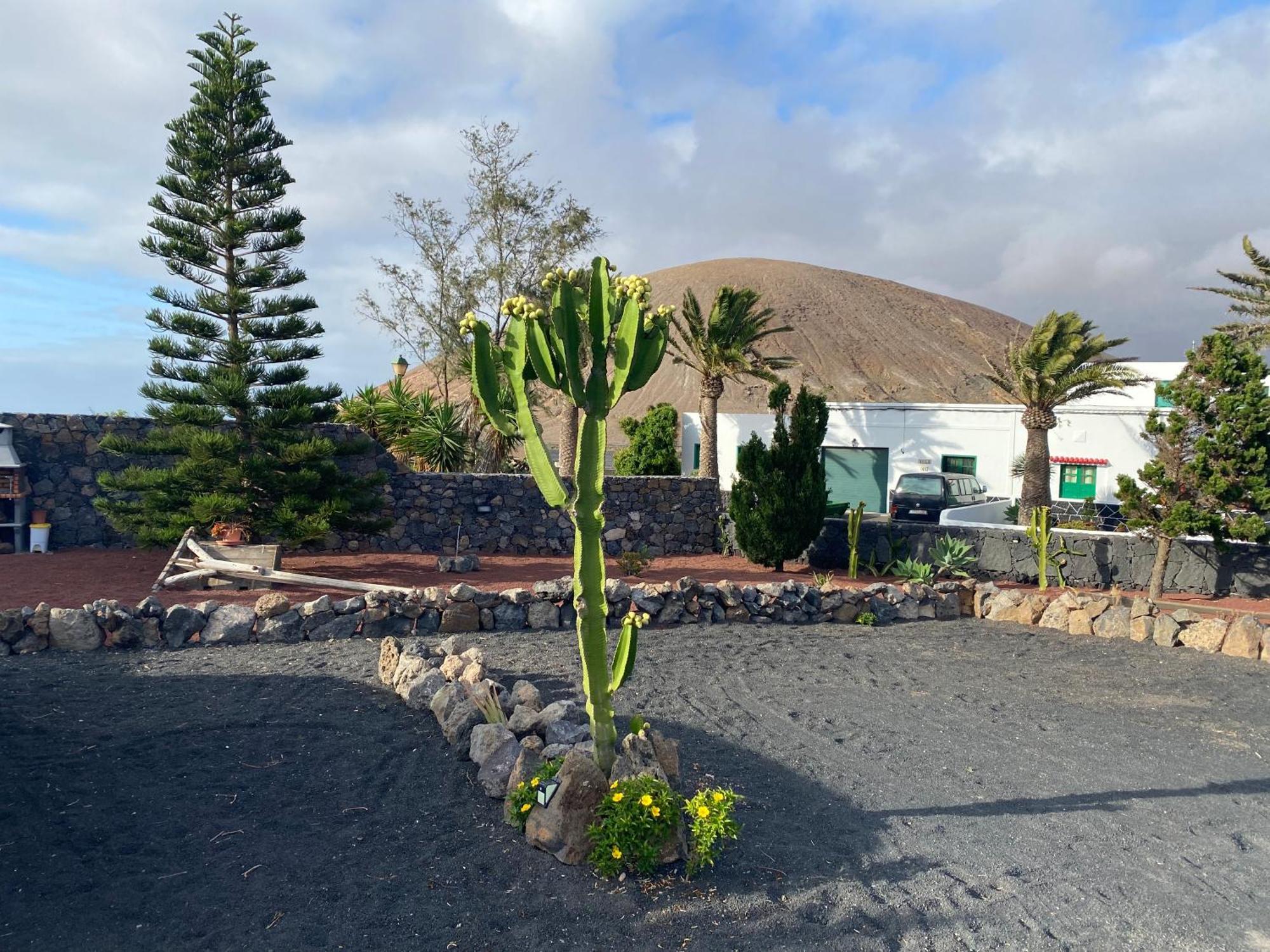 蒂纳霍Casa Valeria别墅 外观 照片