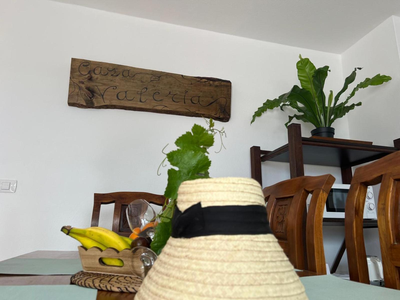 蒂纳霍Casa Valeria别墅 外观 照片